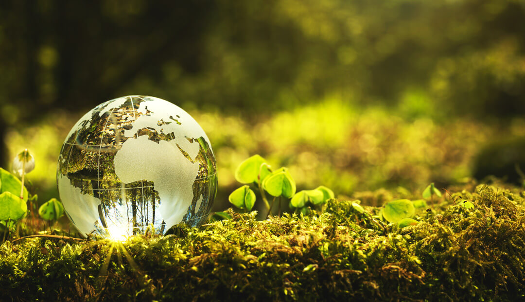 klimaschutz4